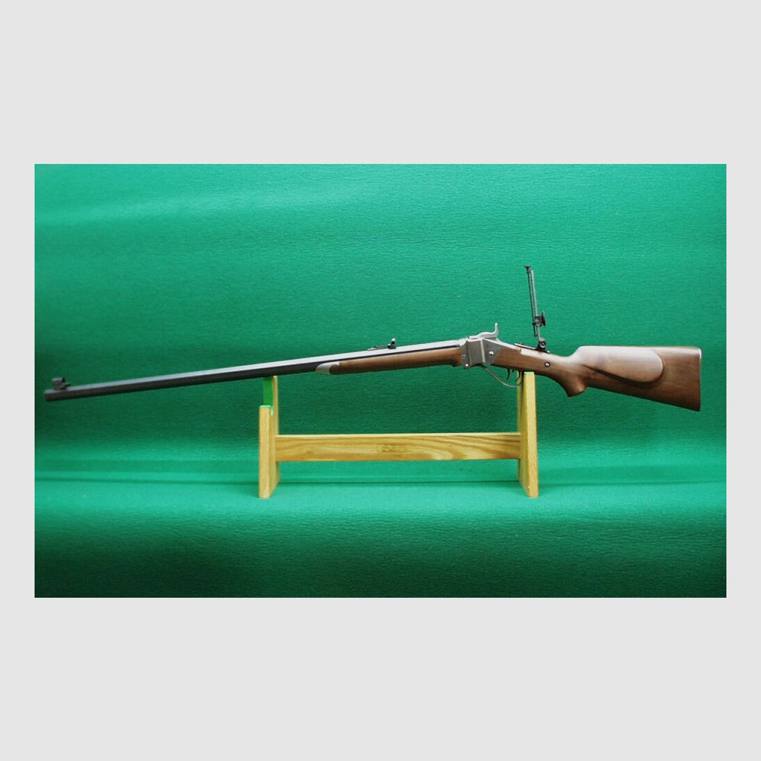Rifle de sport C-Sharps NM 1874