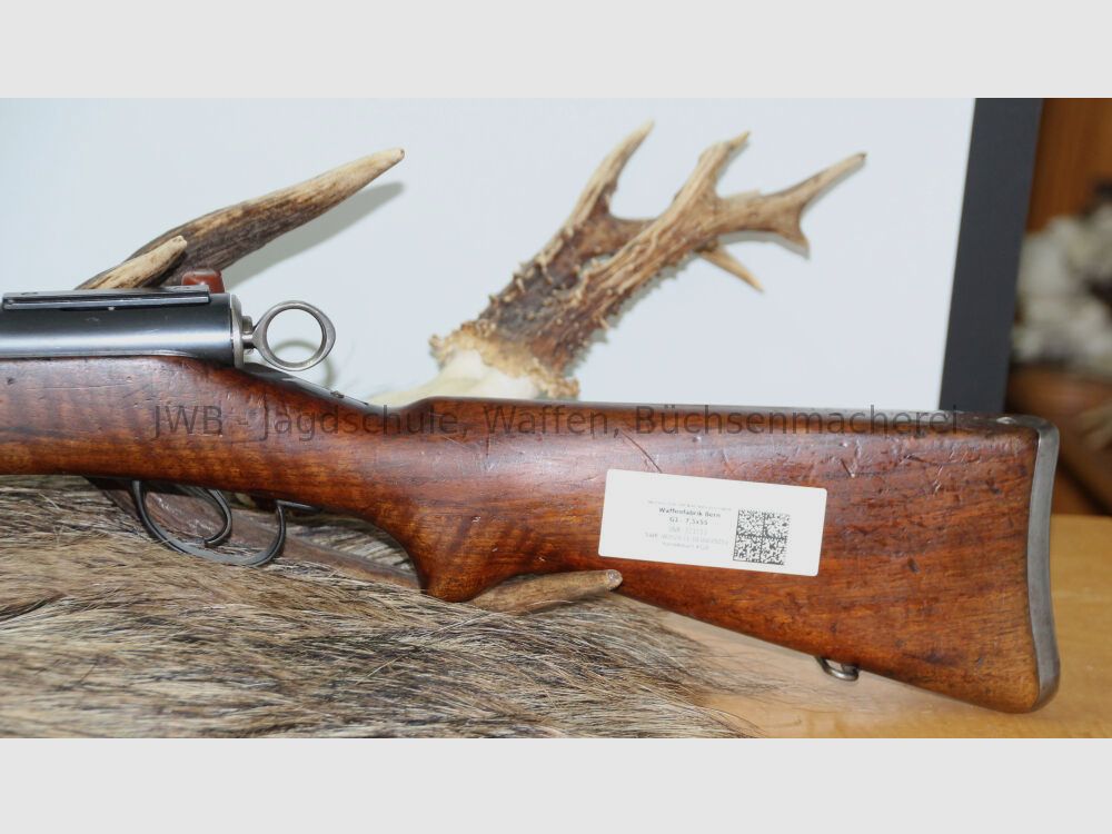 Waffenfabrik Bern 96/11