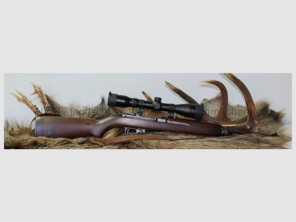 Springfield M1 .30Carbine