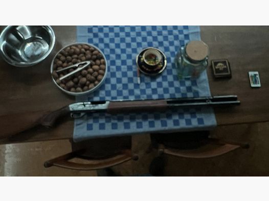 Escopeta semiautomática - Remington 1100