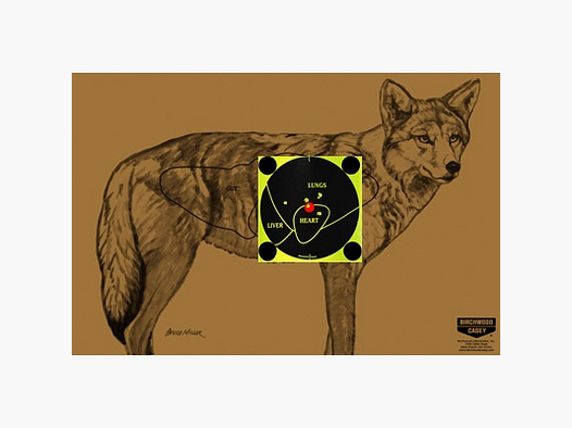 Scheiben Set Coyote