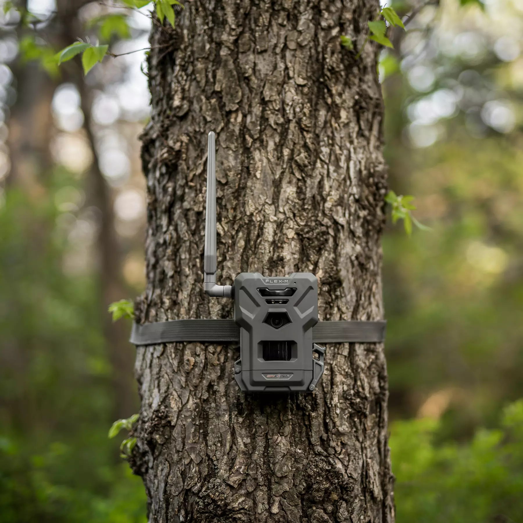 SPYPOINT FLEX-M Twin Pack, image 8 sur 11