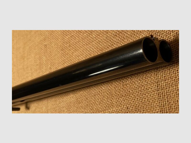 F.SARRIUGARTE ELOGOIBAR-ESPANS Hubertus 20