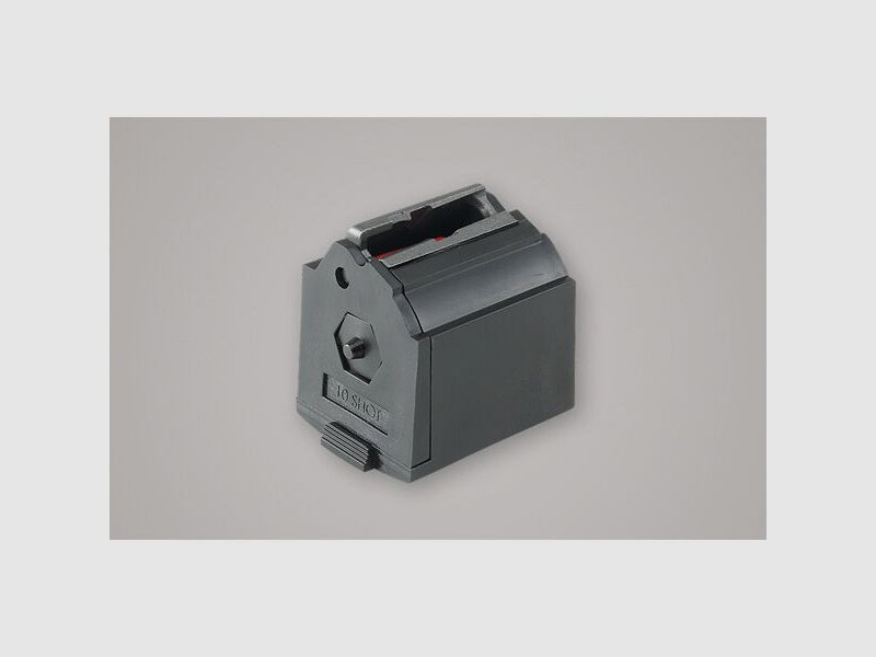 Ruger 10/22 RB Carbine