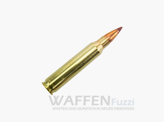 Hornady Superformance .223 Rem. NTX 35gr