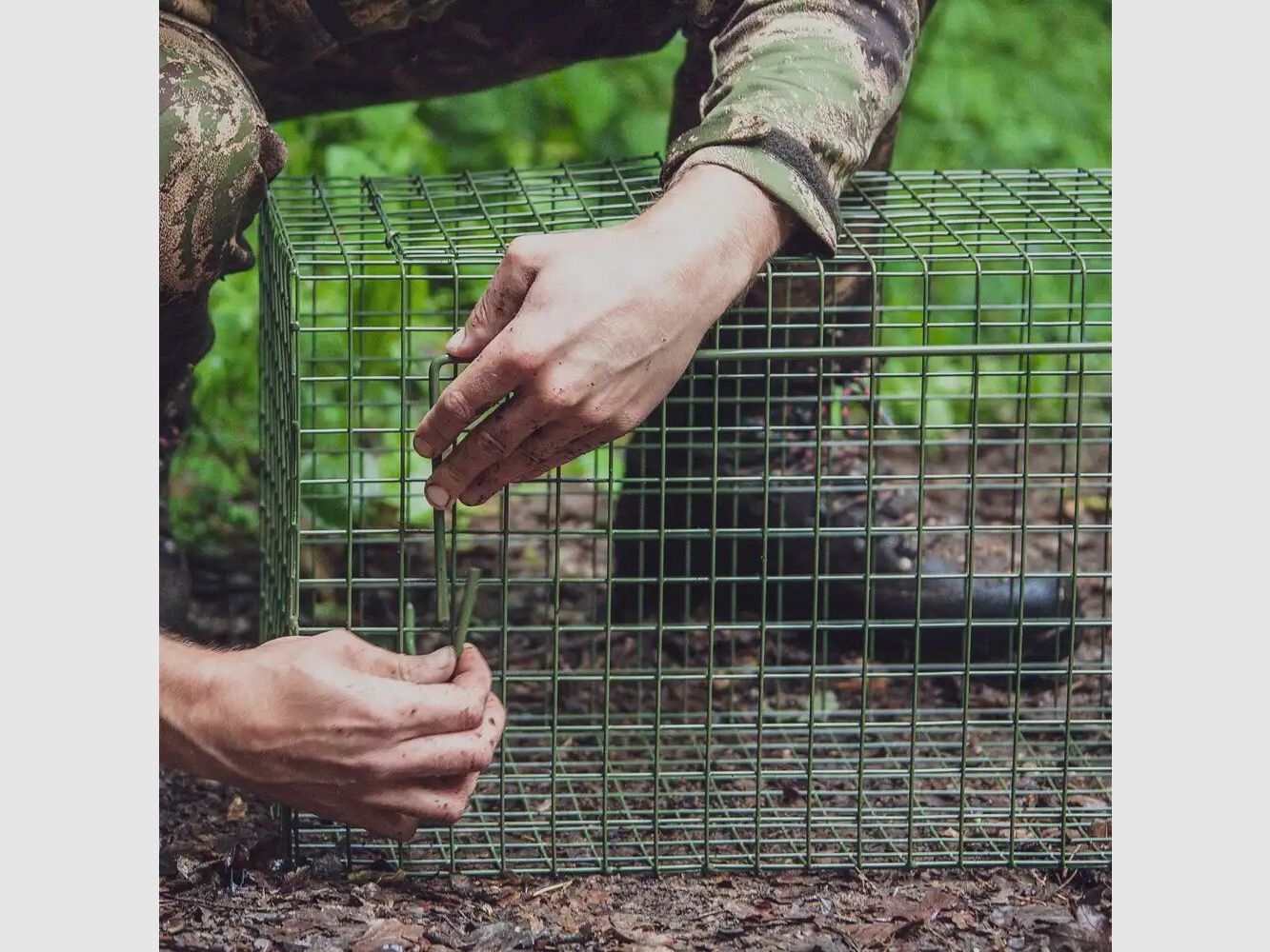 Frankonia trappola a caduta – porta a battente singola