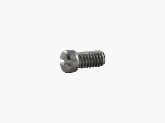 S+W SIDE PLATE SCREW J/K/L/N/X- FRAME GLASS BEADED