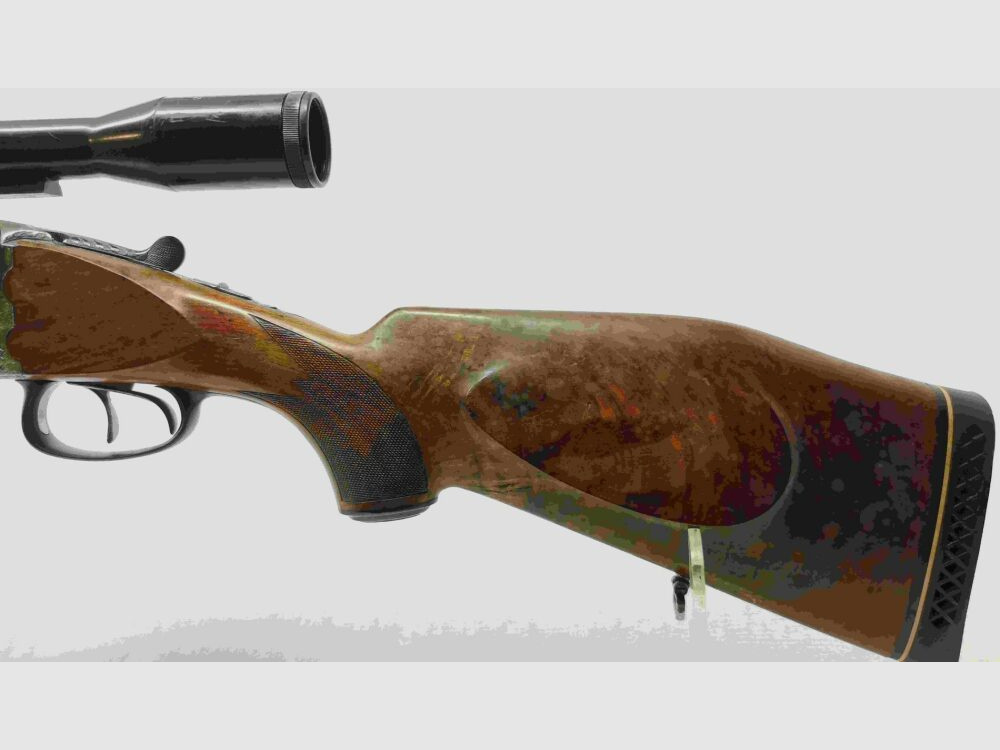 Esha R. Flückiger Szwajcaria - Broń kombinowana z wymiennym lufą