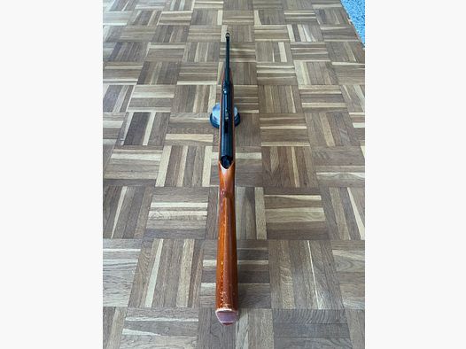 Haenel Suhl 310 Luftgewehr