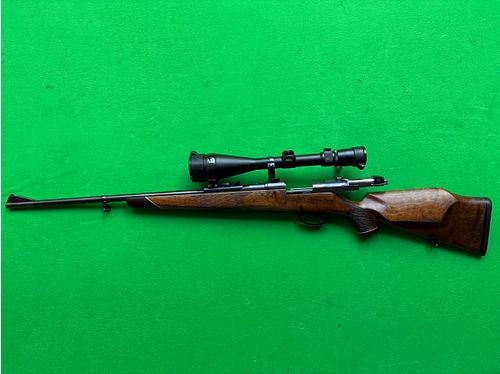 Mauser 66