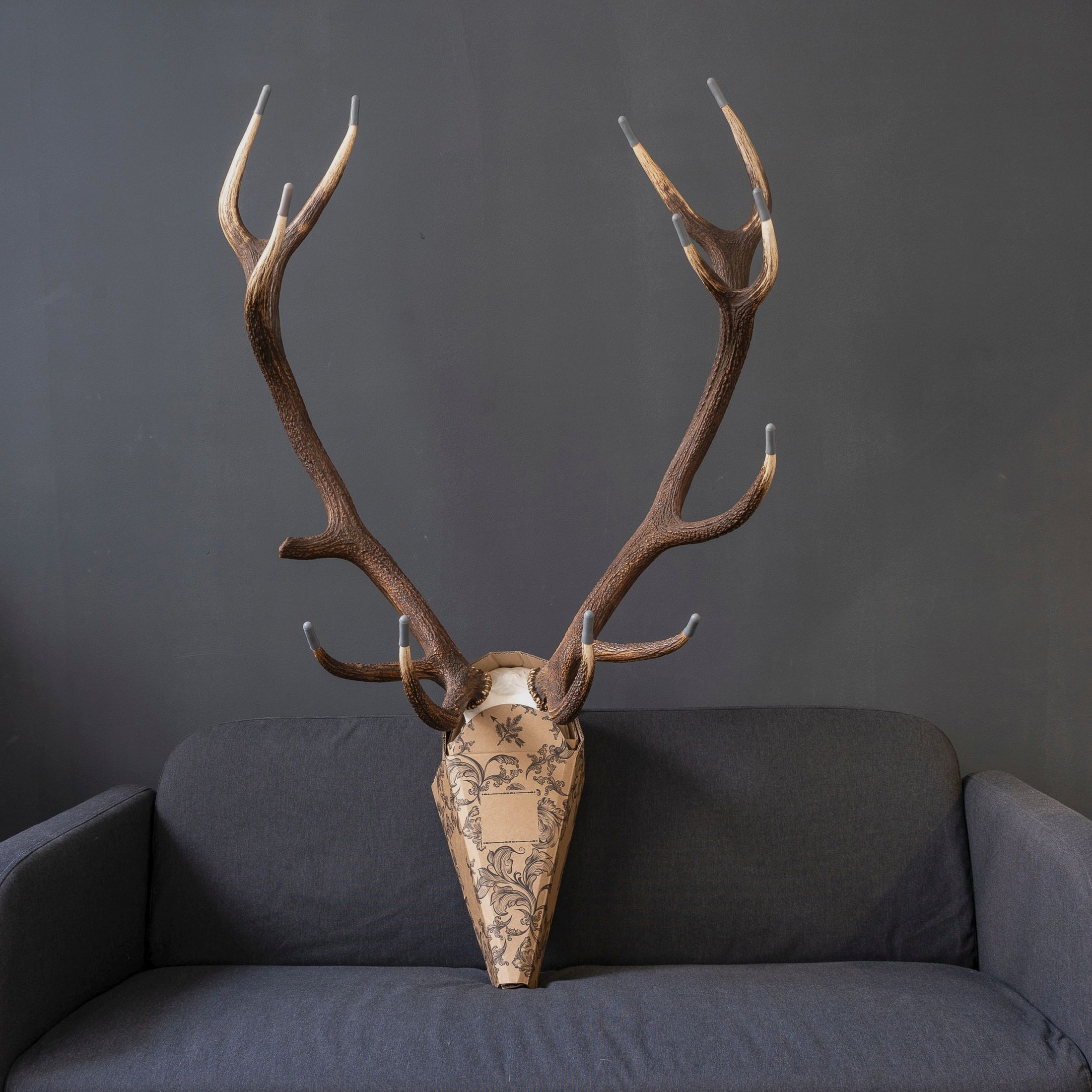 Skullyprotekt trophy protection red deer