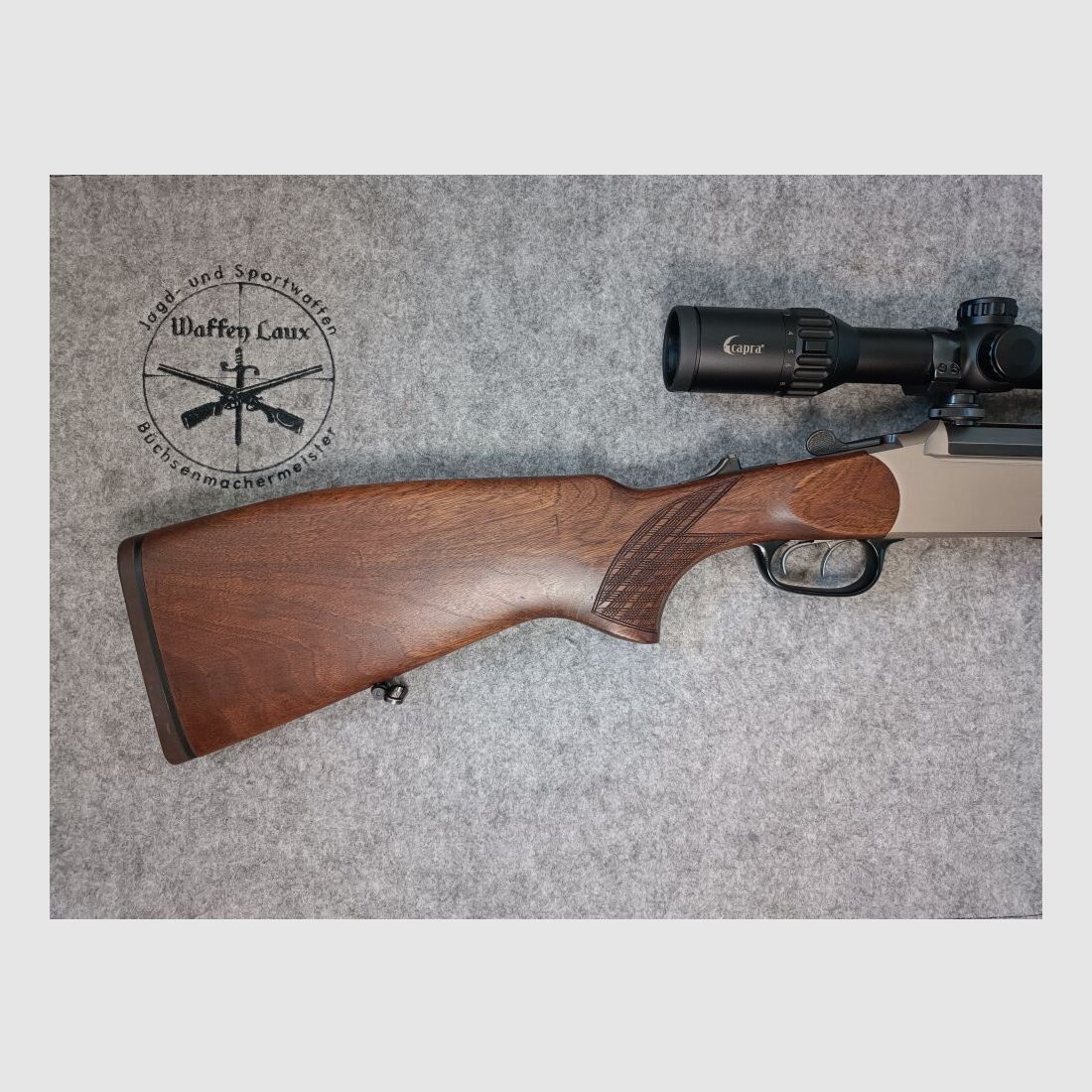 Blaser ES 80 mit Zielfernrohr Capra 2-12x50 Leuchtpunkt