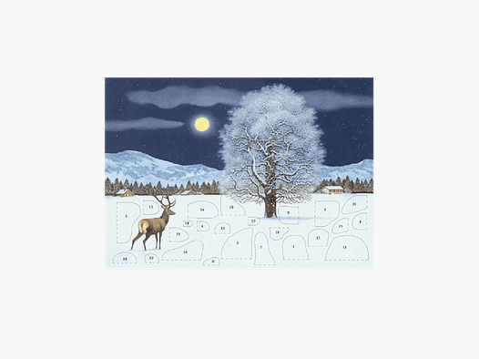 Carte de vœux Calendrier de l'Avent "Nuit d'Hiver Enchantée"