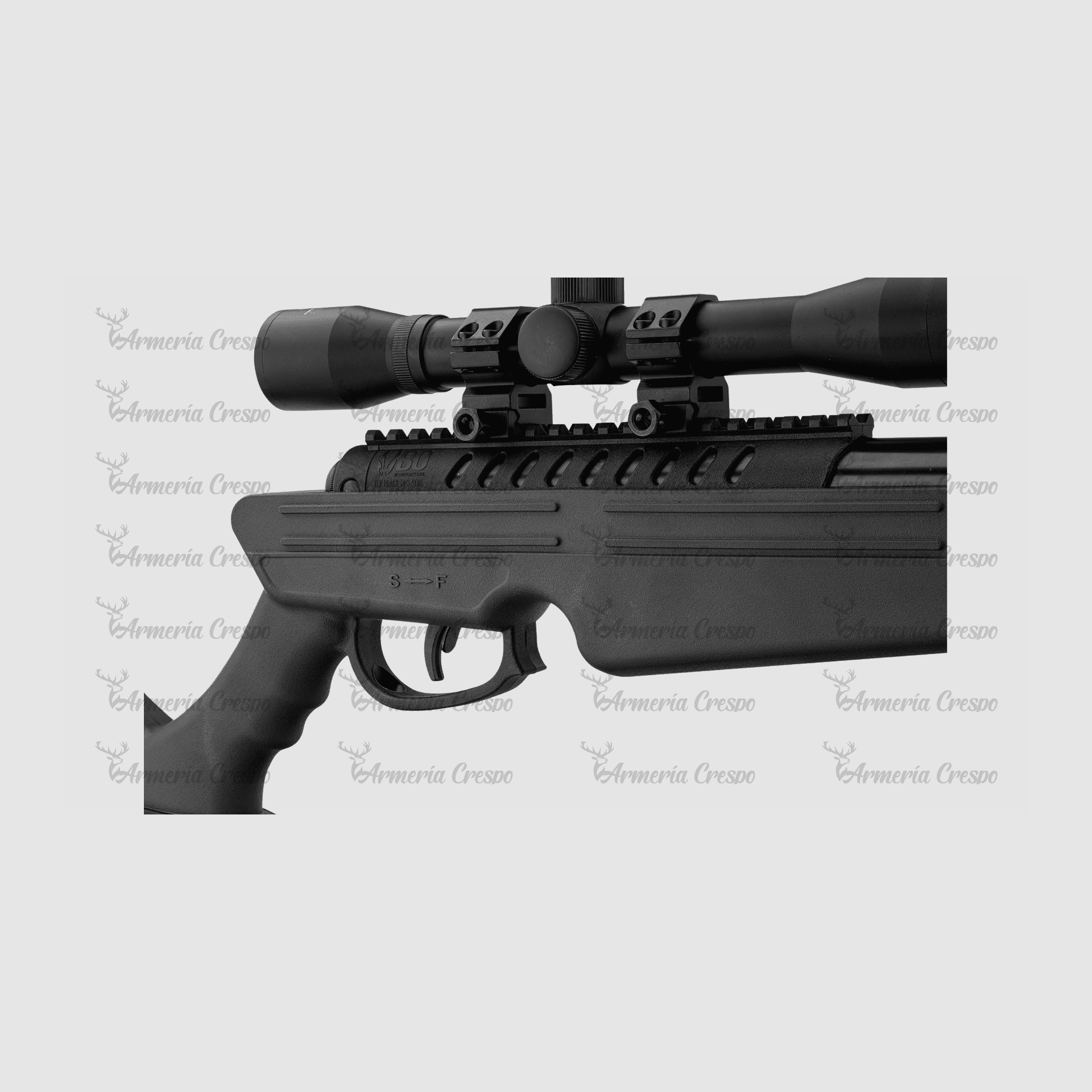 Carabine Quantico Norica, image 2 sur 3