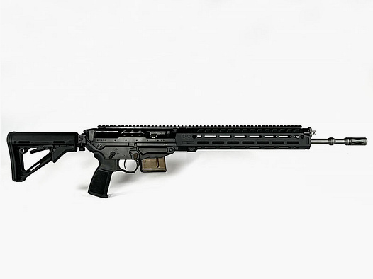 Sig Sauer SG 560 Sport