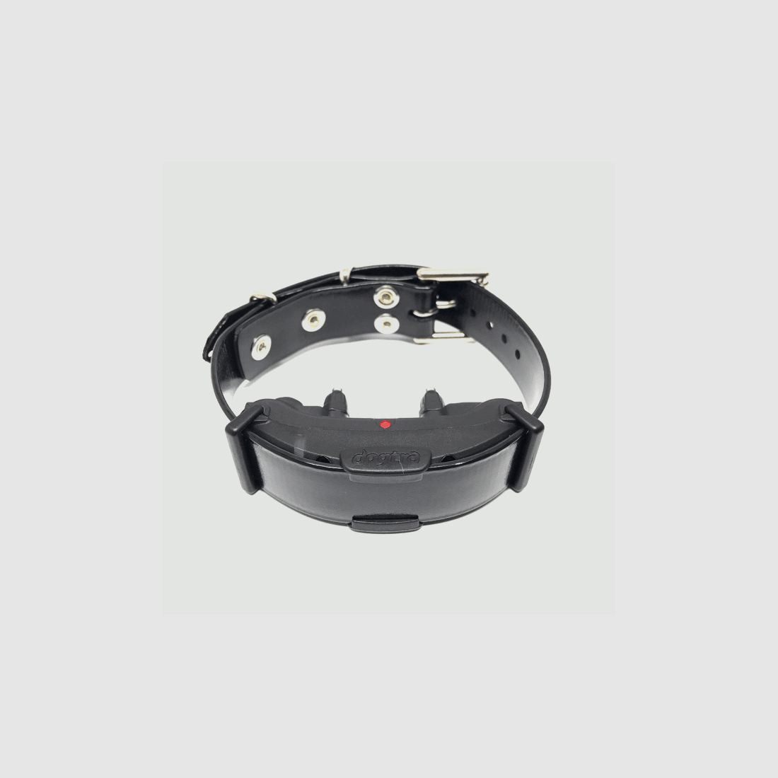 Dogtra Edge, image 3 of 3