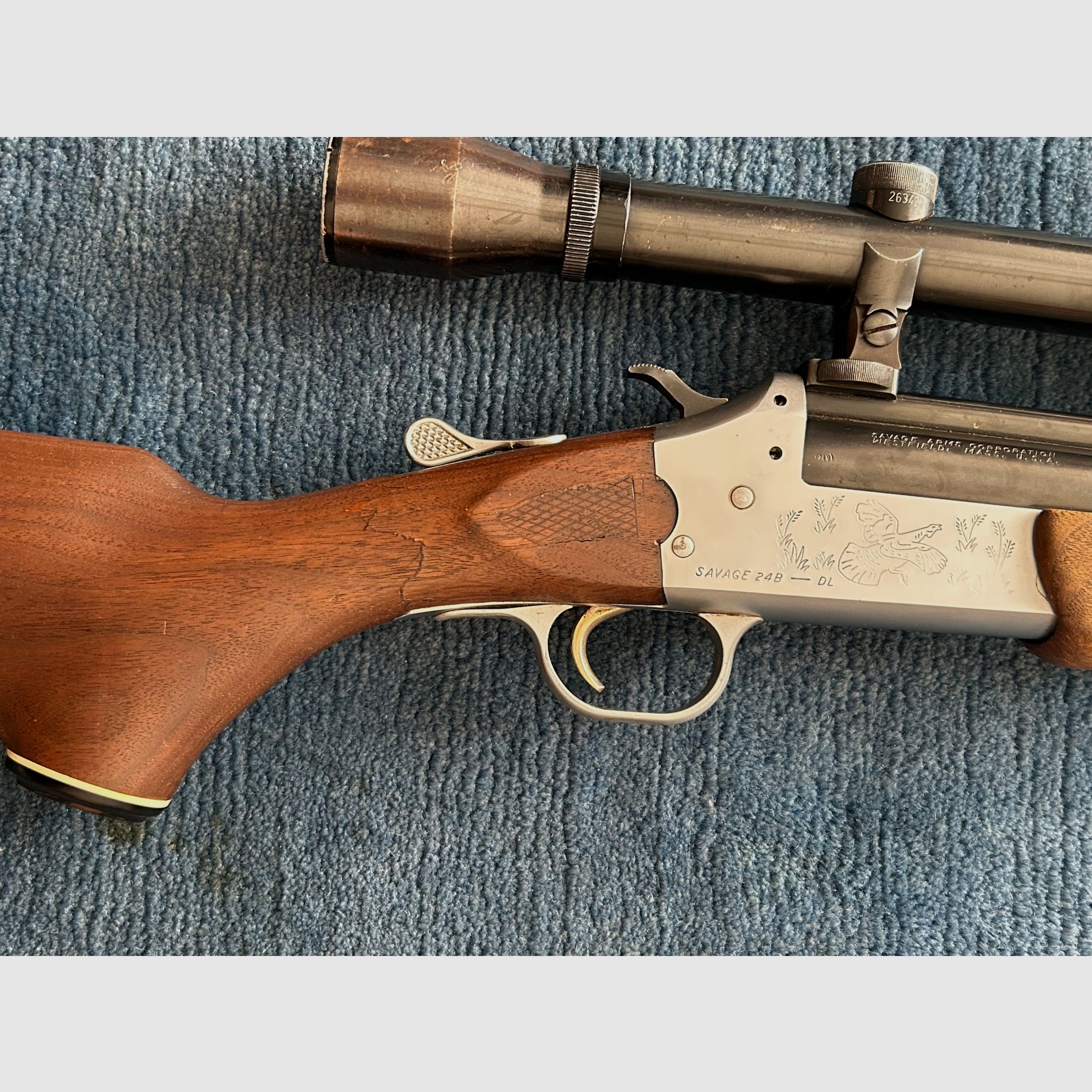 Savage Model 24B - DL, immagine 3 di 7