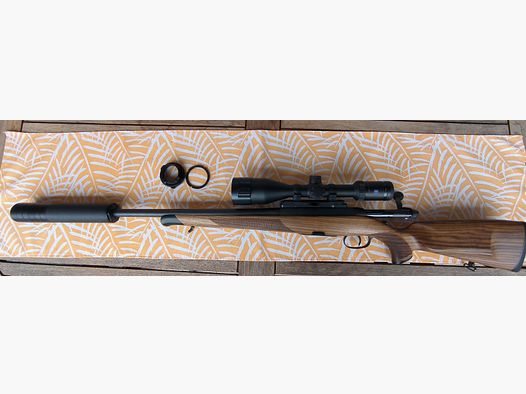 Steyr SM12 