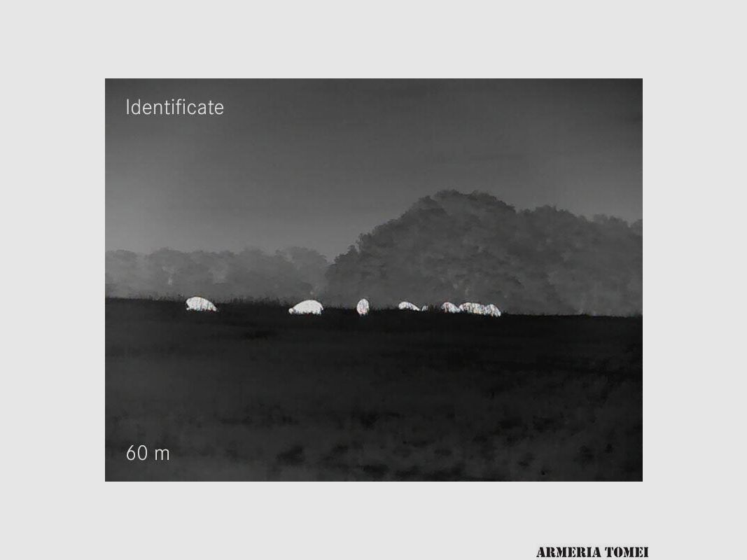 GEBRAUCHT – NACHTSICHTGERÄT/THERMAL – LEICA – CALONOX View, Bild 8 von 9