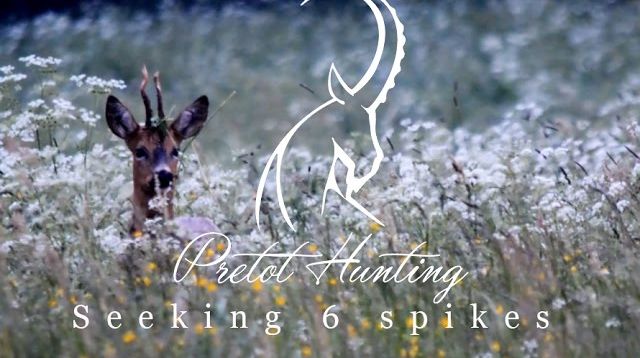 Pretot Hunting - Seeking 6 spikes - Roebuck hunt in France