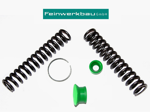 ¤¤¤ FWB LG 300, 300s / Repair Kit / Reanimationsset Feinwerkbau ¤¤¤ VERSANDKOSTENFREI