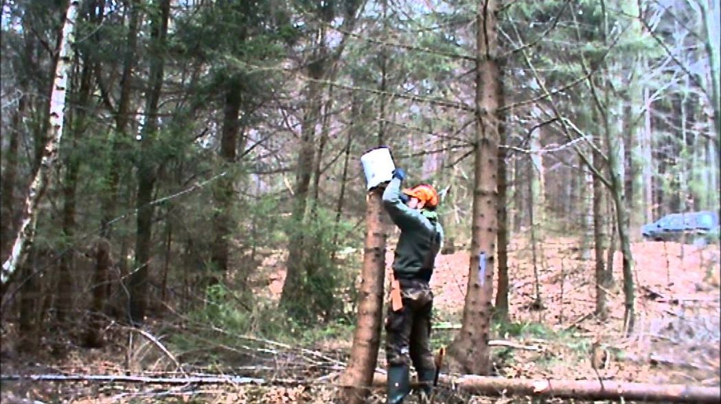 JAGD ANLEGEN EINER SUHLE TEIL 1