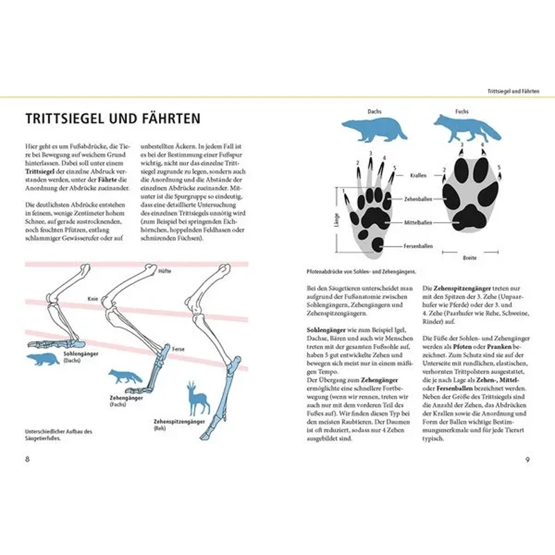 Libro "Tracce di animali a grandezza naturale", immagine 2 di 3