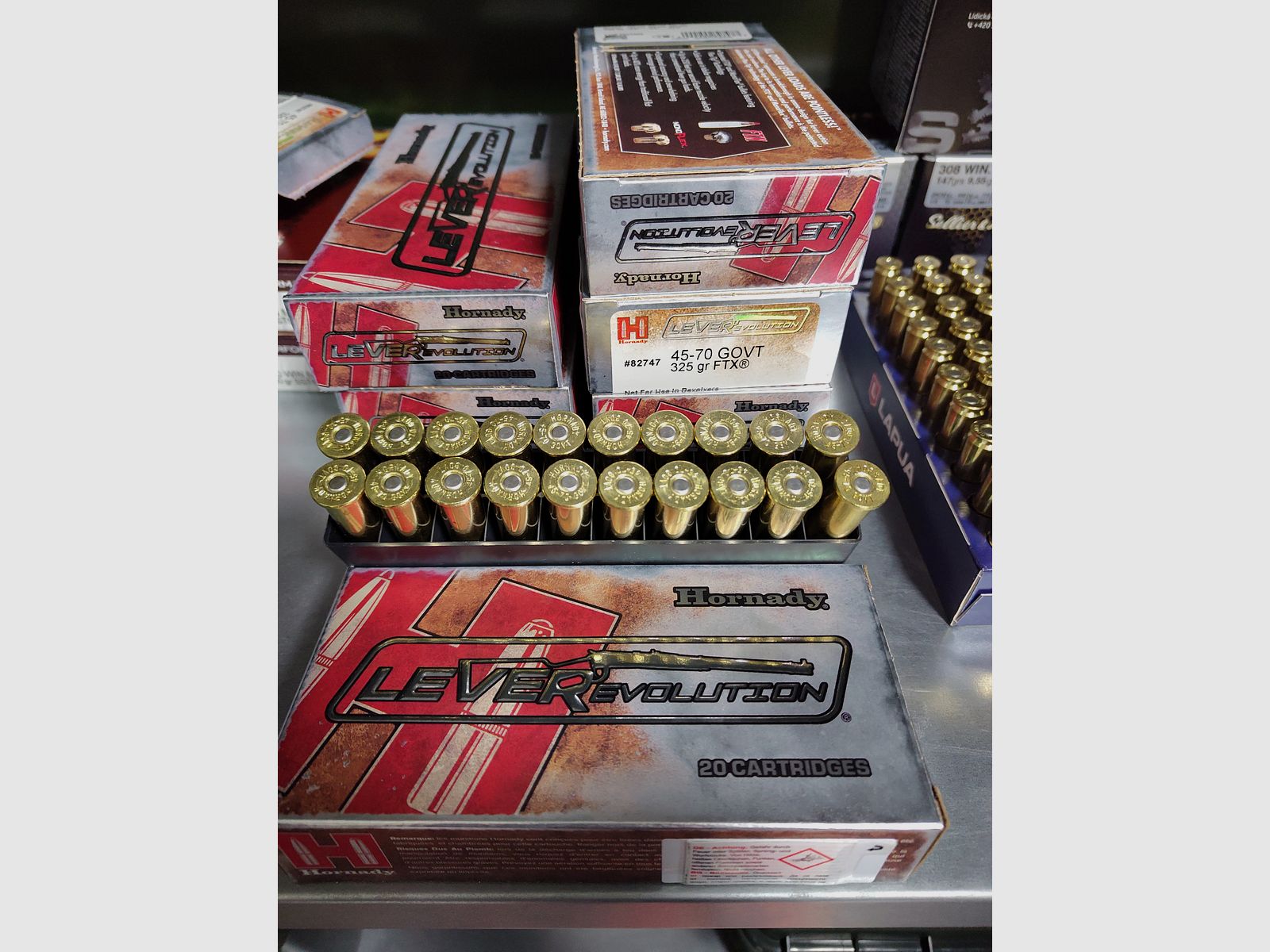 .45-70 Government Hornady LeverRevolution