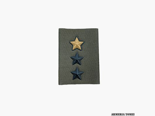 ESERCITO – TUBOLARI TENENTE FUNZIONALE/COMANDANTE