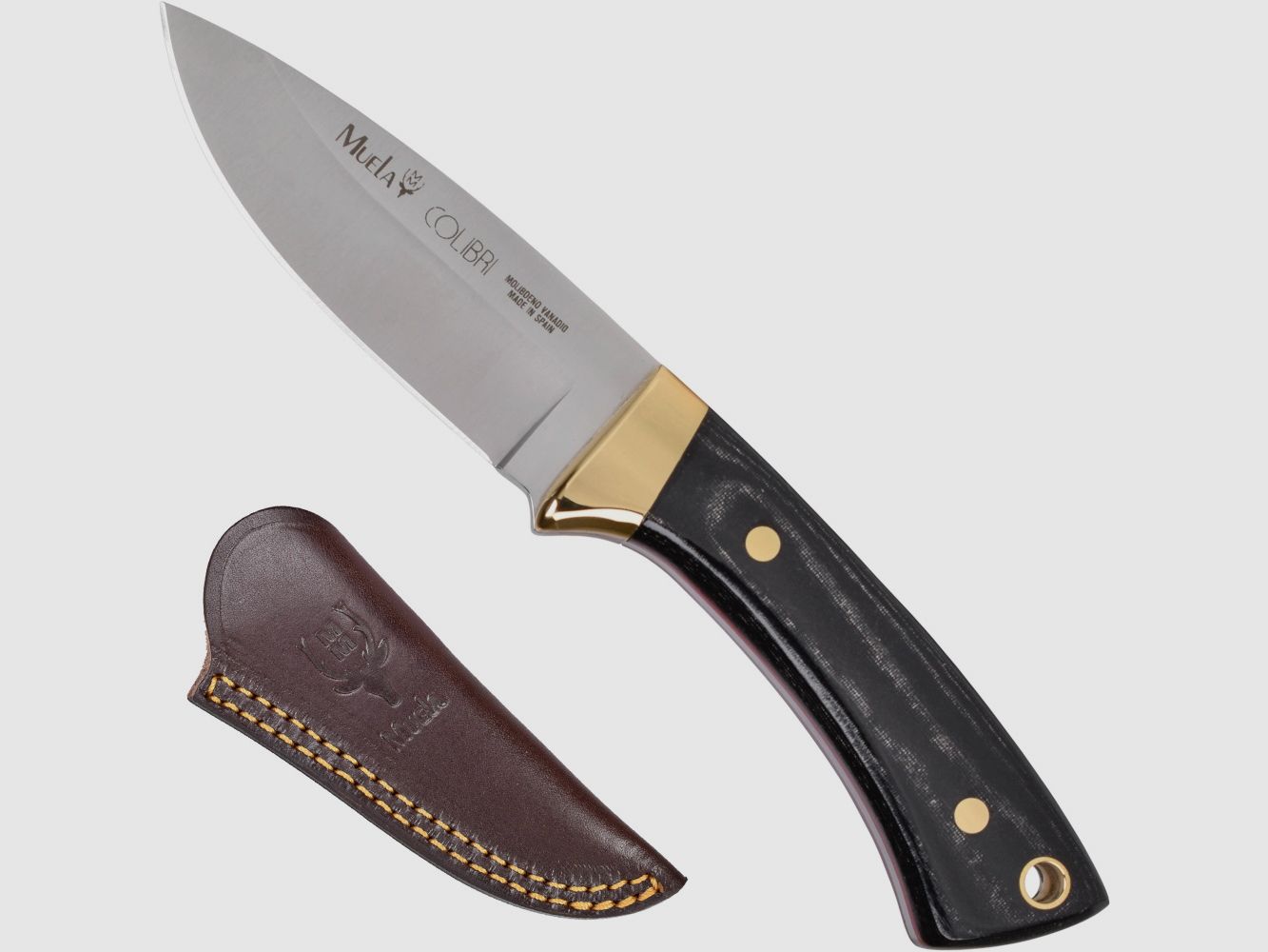 Muela Colibri Micarta