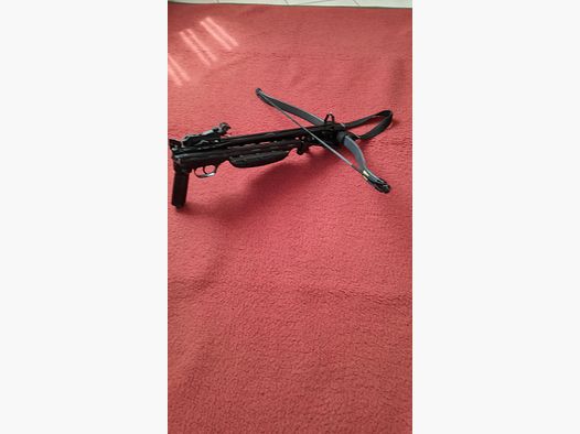 Barnett Panzer II Armbrust, z DIY-Klappschaft, i 9 Alupfeilen