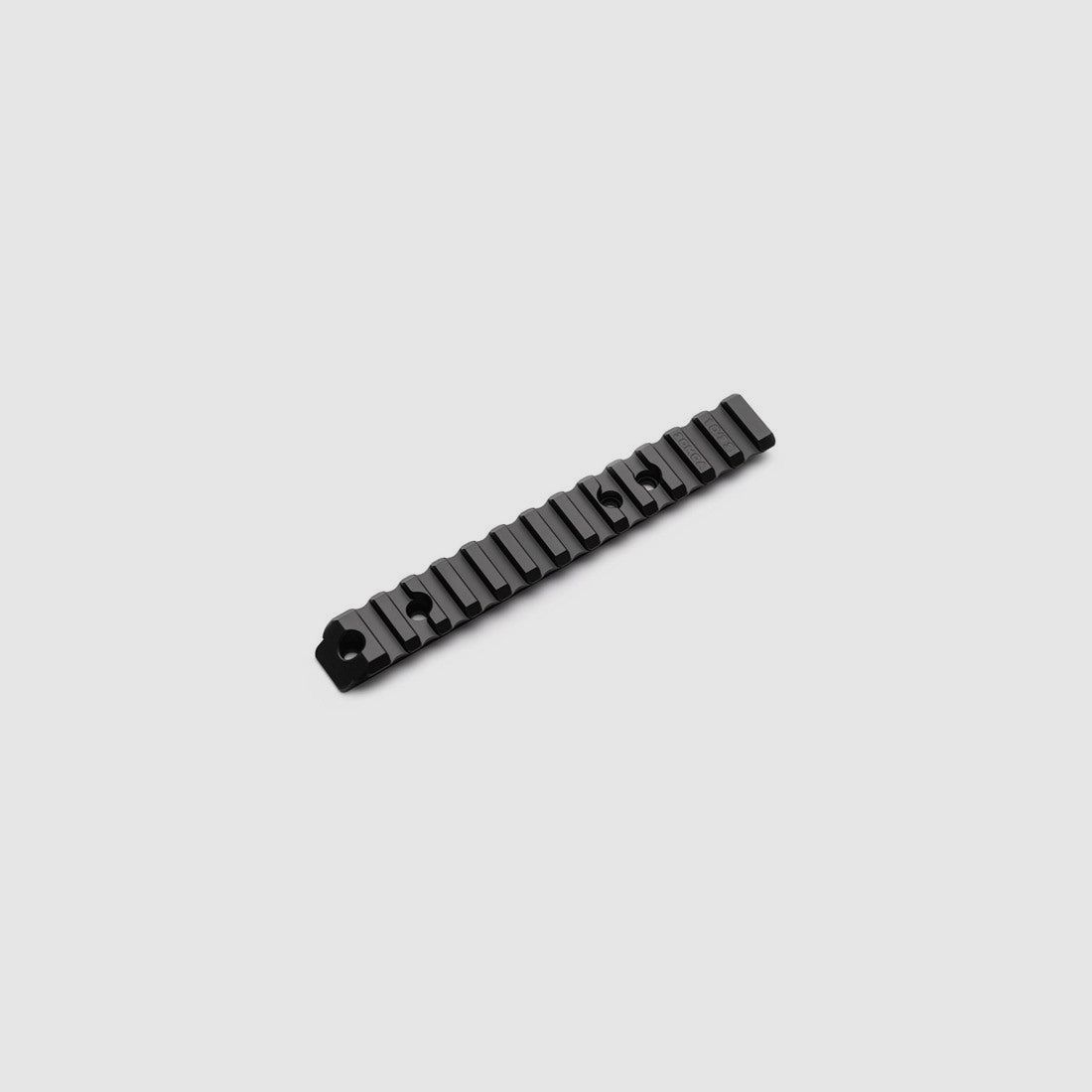 Area 419 Picatinny-Montageschiene für Ruger® 10/22 Standard Carbine