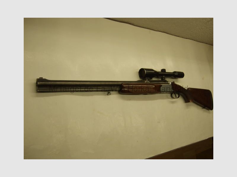 Sabattii avec ZF SWAROVSKI 6x42 réticule 1