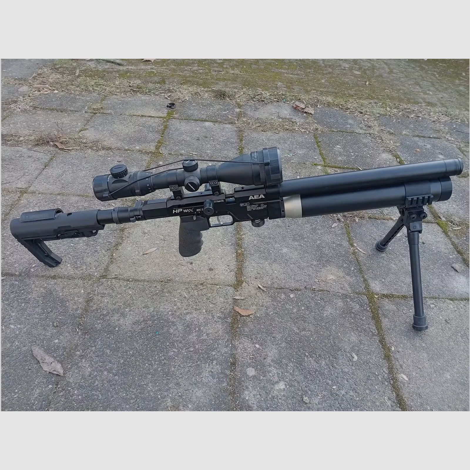 Disponibile a fine settimana