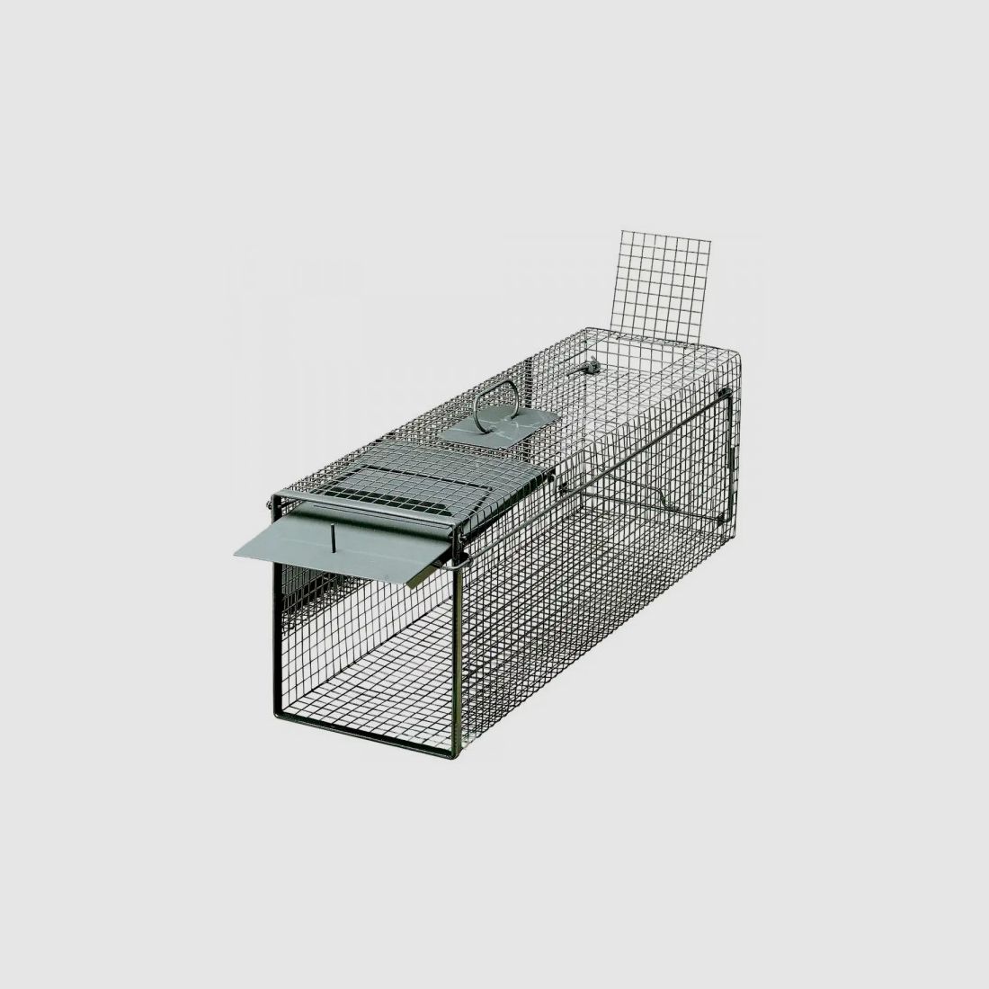 LIVING TRAP / TRAP - SINGLE DOOR - 103x28x32 CM - GREEN