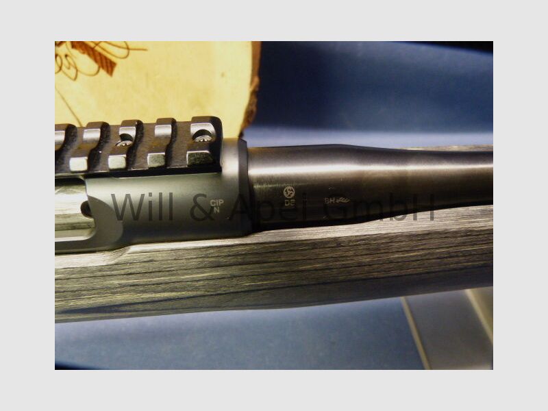 Sauer & Sohn Sauer 100