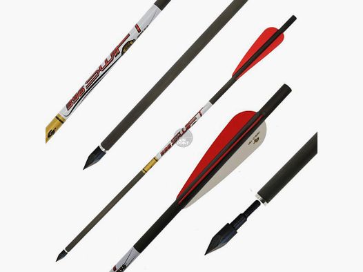 Jagdbolzen | GOLDTIP Swift - Bodkin - Carbon - 20 Zoll | Spitze: 100gr