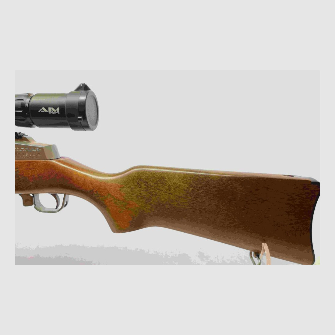 Ruger Ranch Rifle Mini 14