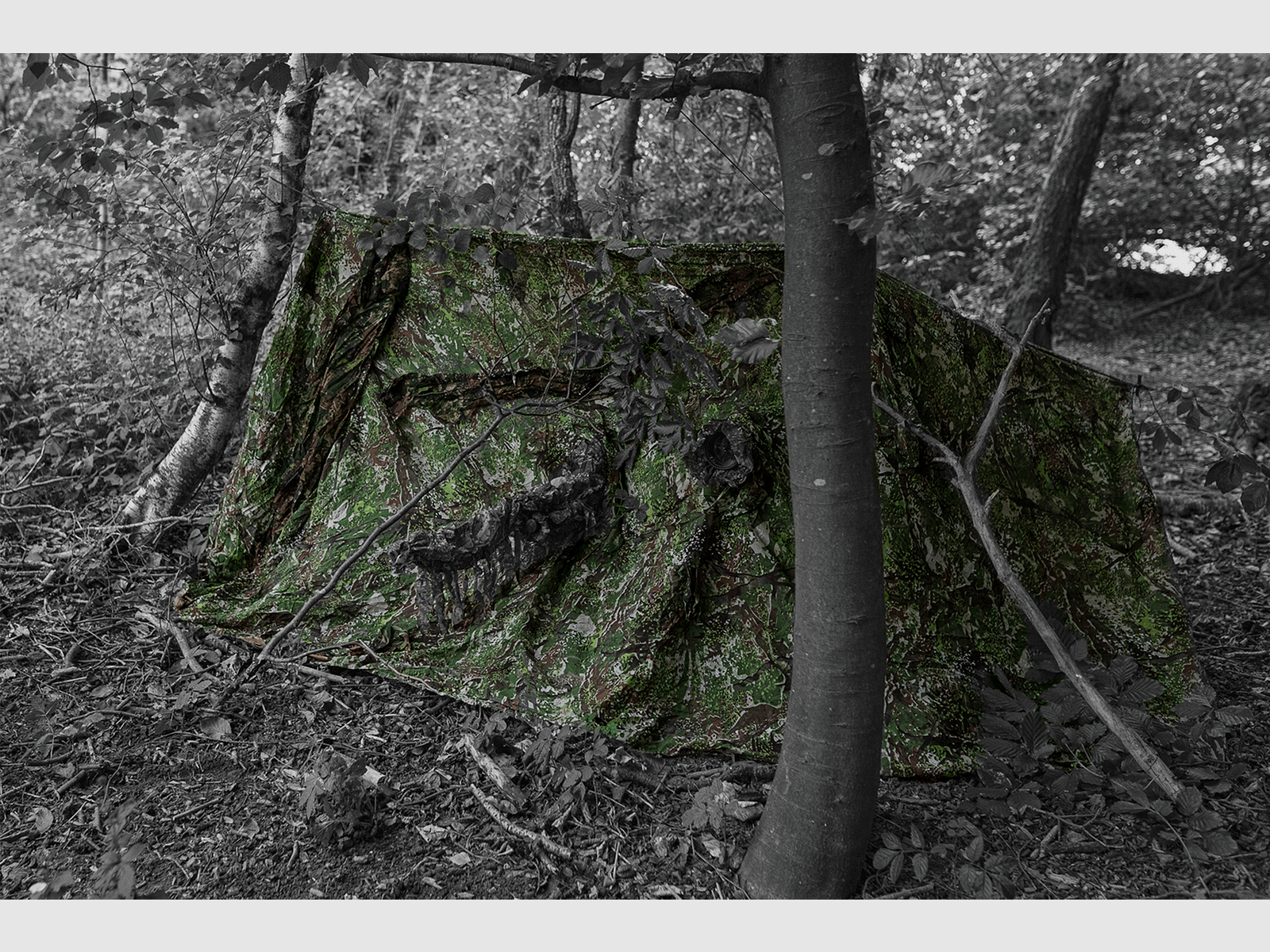 Ghosthood Recce-Net, immagine 1 di 9