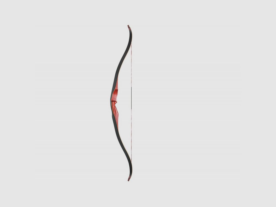 Ragim Black Bear Recurve ( DROITIER )
