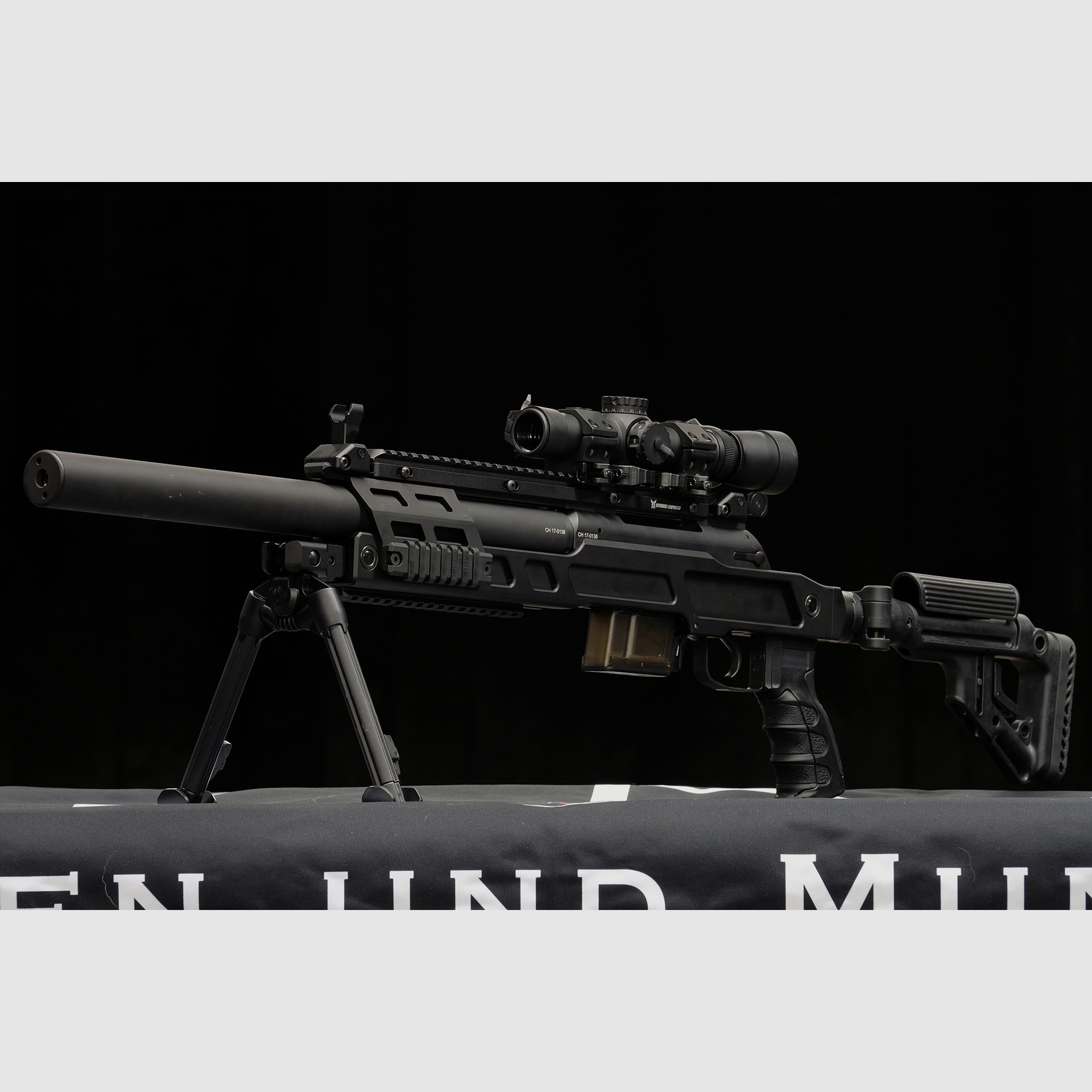 B&T SPR300, Bild 3 von 6
