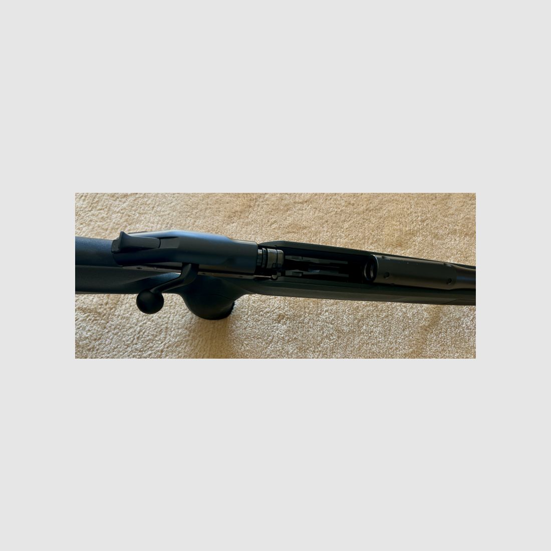 Blaser R8 Professional Success Kaliber 30-06