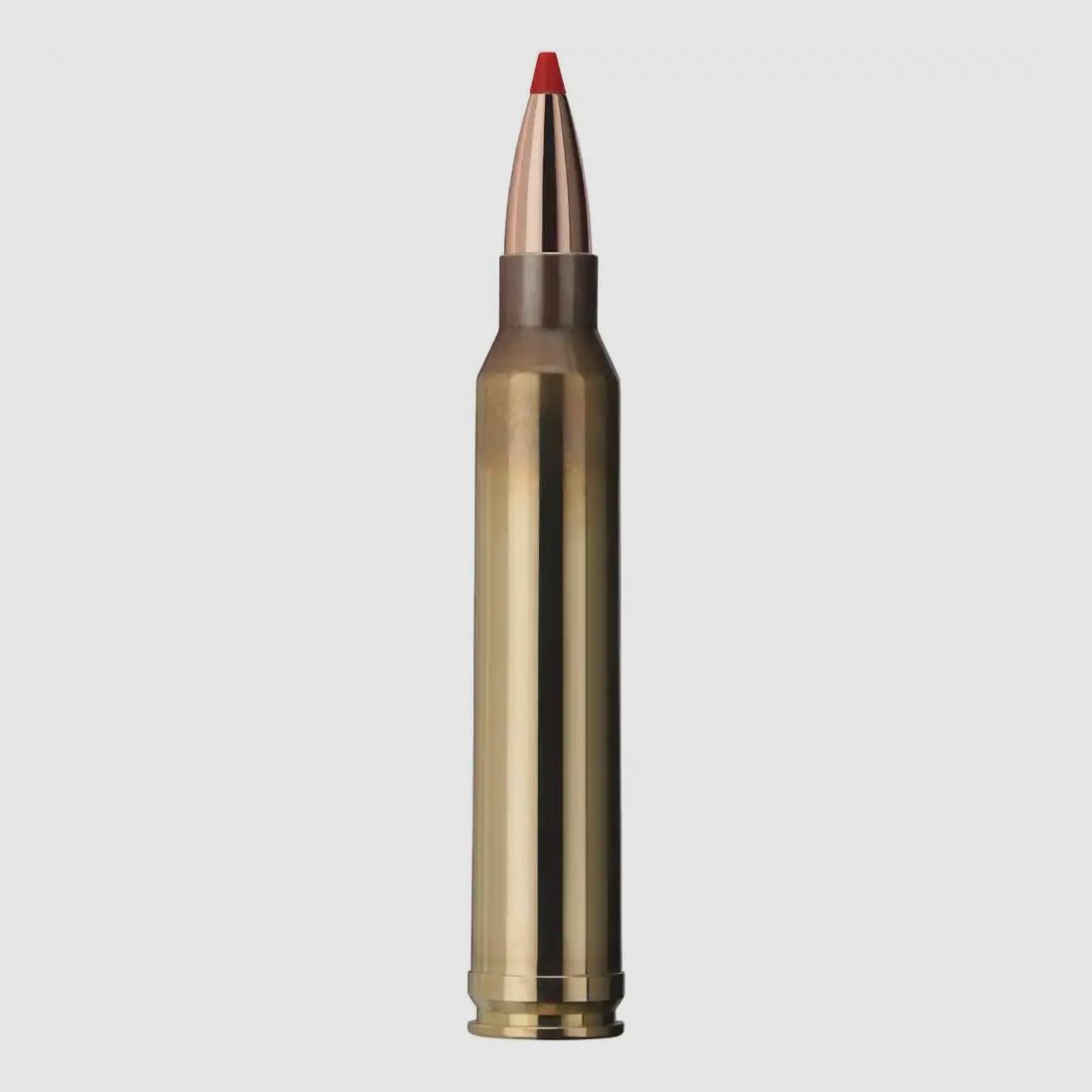 Geco Express .300 Win. Mag. 10,7g/165grs. 20 cartouches