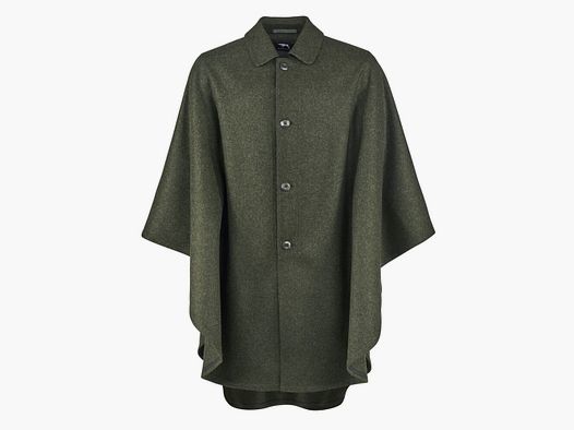 Perro de caza Wetterfleck Altach