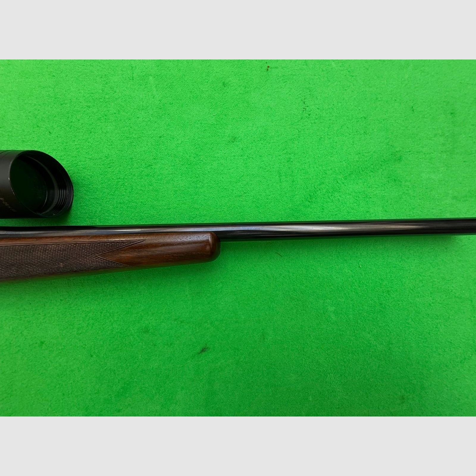 Sauer & Sohn 202 in .270Win & Vixen 6-24x58