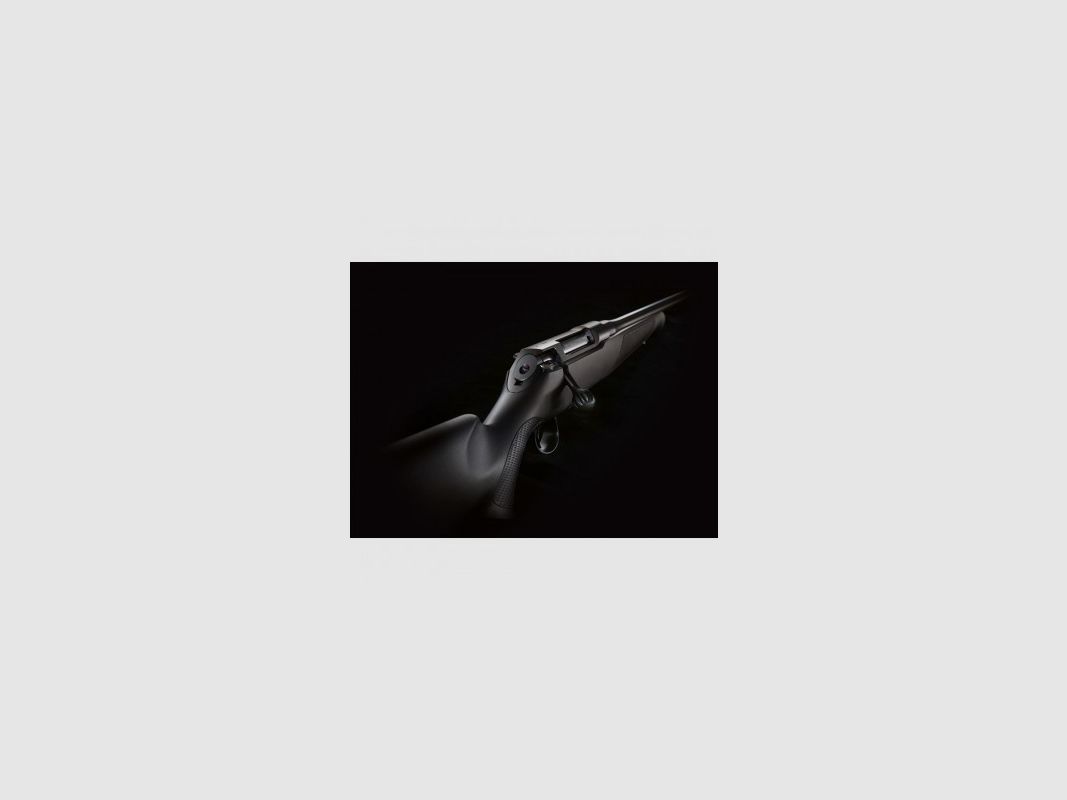 SAUER 100 Polymer Modell XT, Bild 1 von 4