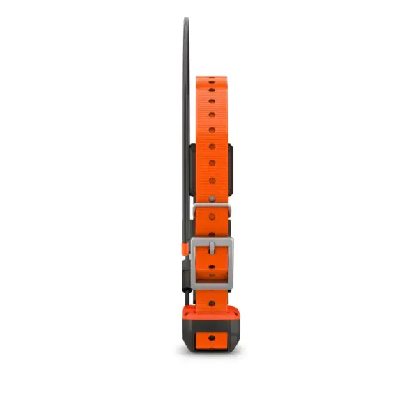 Zusätzliches GPS-Halsband Garmin Alpha T20F, Bild 13 von 14