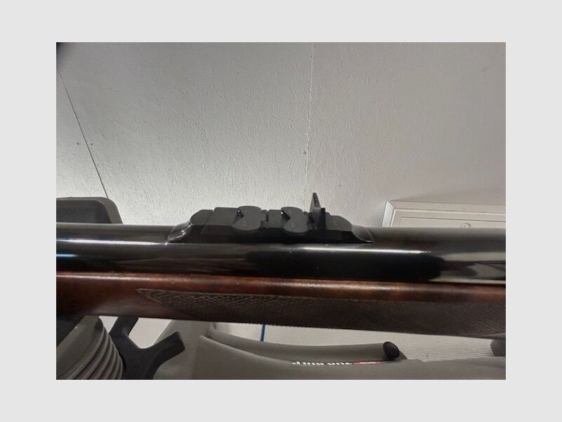 Whithworth Withworth Express