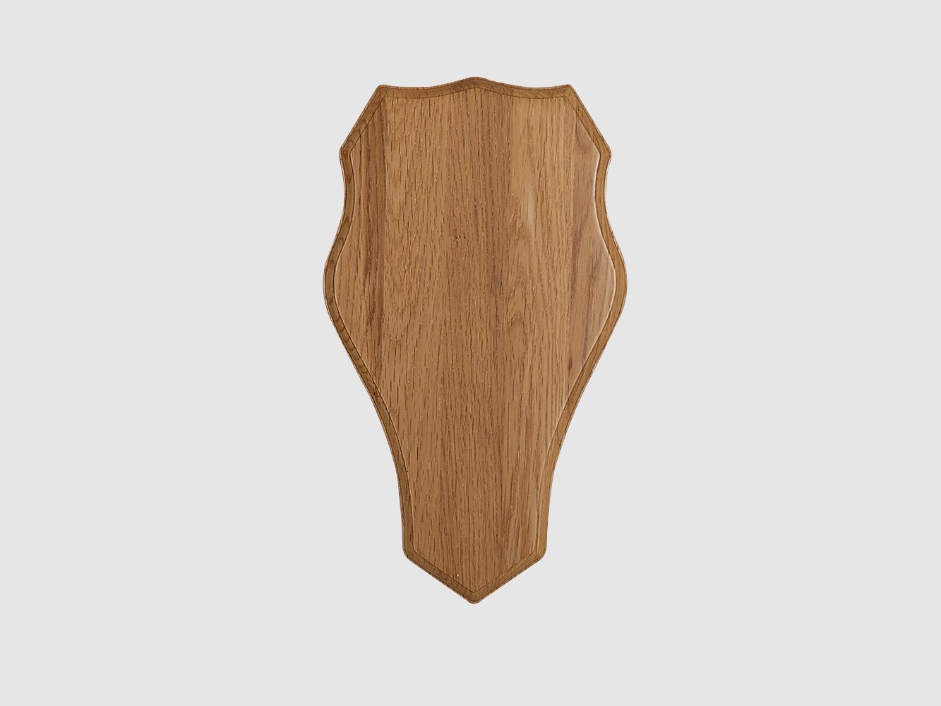 5etta escudo de trofeo ciervo claro