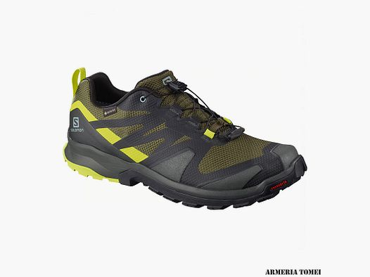 SALOMON – MĘŻCZYŹNI – XA ROGG GTX Olive Night / Peat / Lime Punch